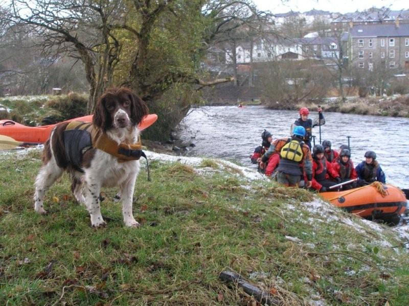 Yes, Tipsy the Wonderdog loves the water more than the customers. You can also get the pleasure of her company on some Coasteering trips in South West Wales. Just contact comeandtry.com for more info...